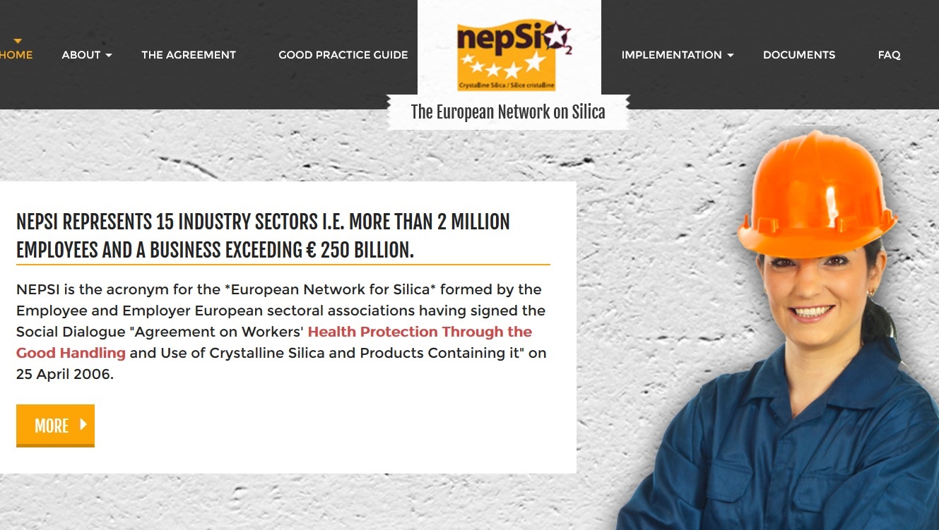 Carcinogens and Mutagens Directive - Nepsi update