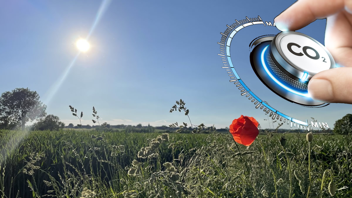 We are living the transition today &#x2013; &#x2018;Fit for 55%&#x2019; must deliver Just Transition urgently