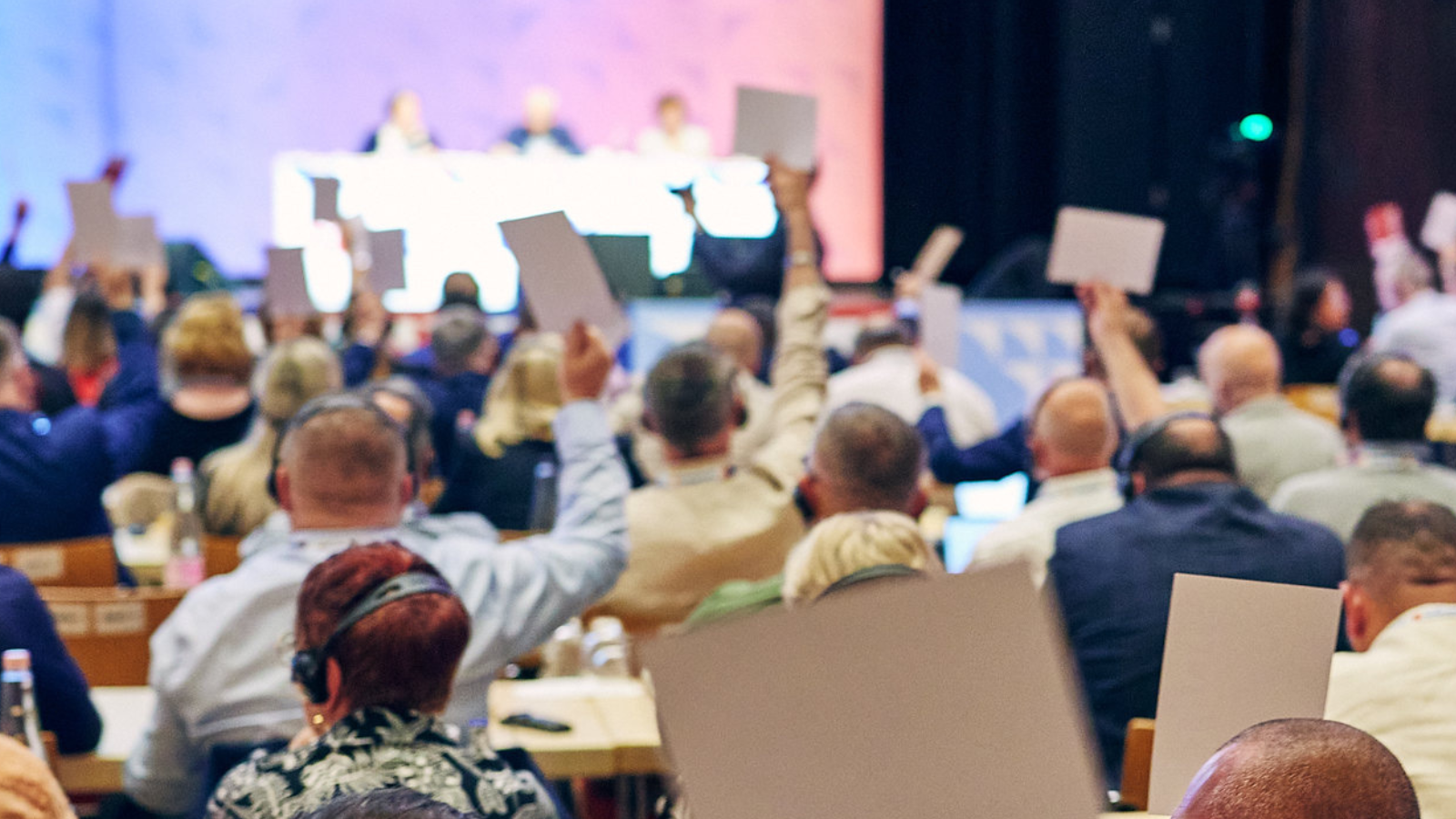 Emergency Resolution on Gaza